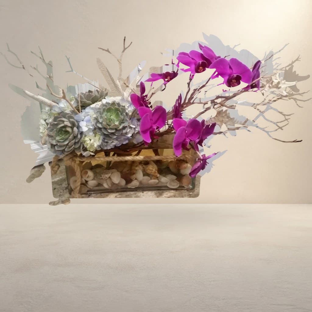 Coastal Orchid & Succulent Centerpiece